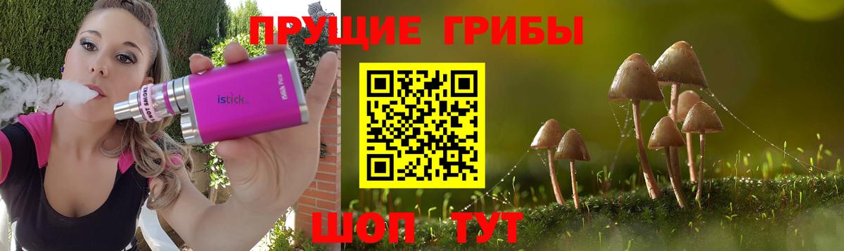 Псилоцибиновые грибы MAGIC MUSHROOMS  Псилоцибиновые грибы GOLDEN TEACHER  Вход с VPN  наркота  Кудрово 